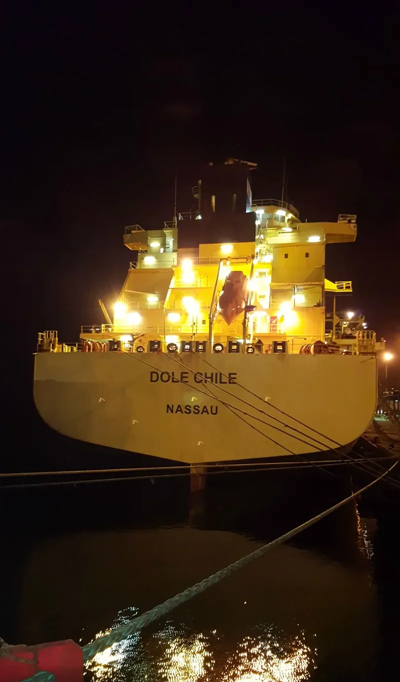 DOLE CHILE Container Ship IMO 9185281