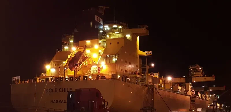 DOLE CHILE Container Ship IMO 9185281 photo 2