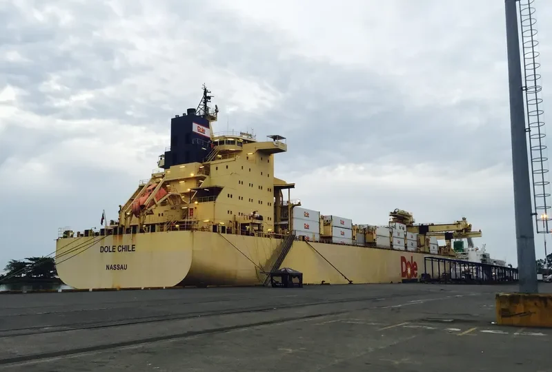 DOLE CHILE Container Ship IMO 9185281 photo 3