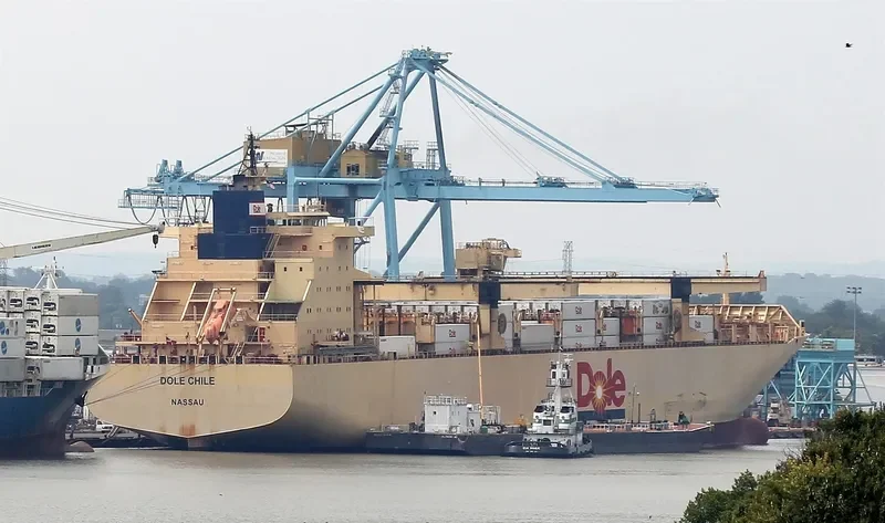 DOLE CHILE Container Ship IMO 9185281 photo 8