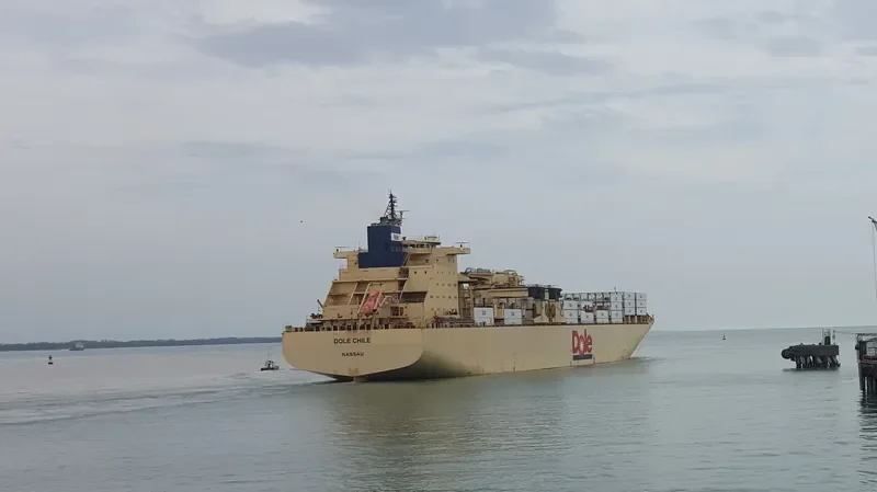 DOLE CHILE Container Ship IMO 9185281 photo 9