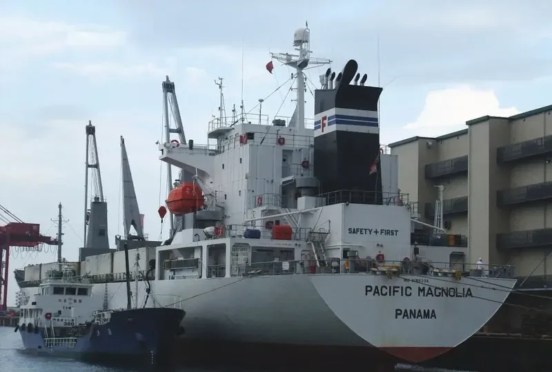 PACIFIC MAGNOLIA General Cargo IMO 9185334 photo 5