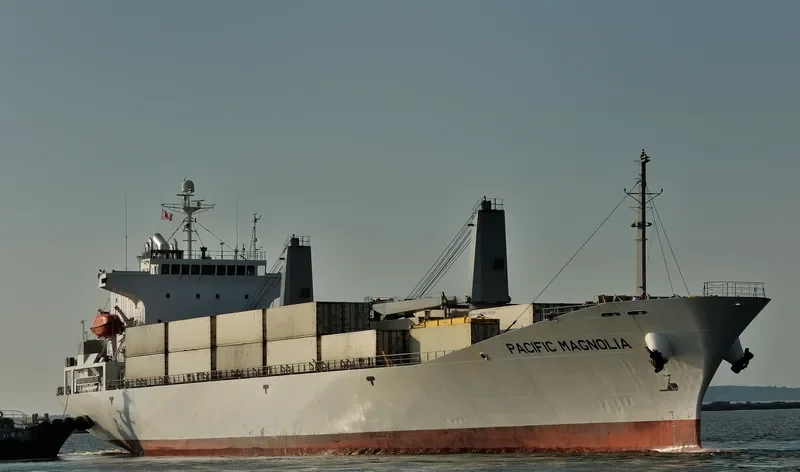 PACIFIC MAGNOLIA General Cargo IMO 9185334 photo 6