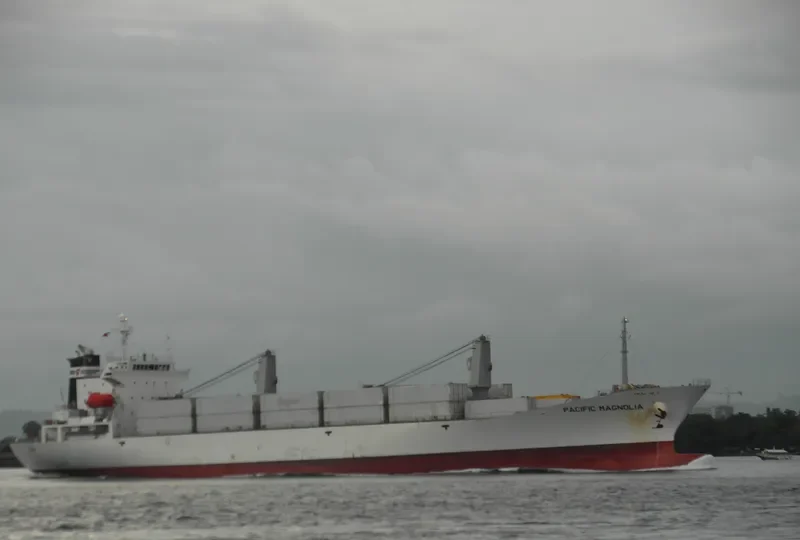 PACIFIC MAGNOLIA General Cargo IMO 9185334 photo 7