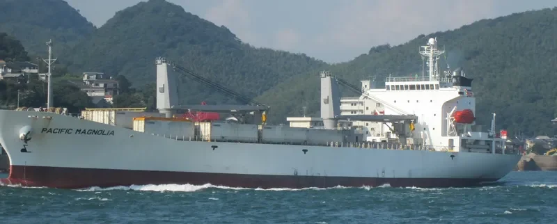 PACIFIC MAGNOLIA General Cargo IMO 9185334 photo 9