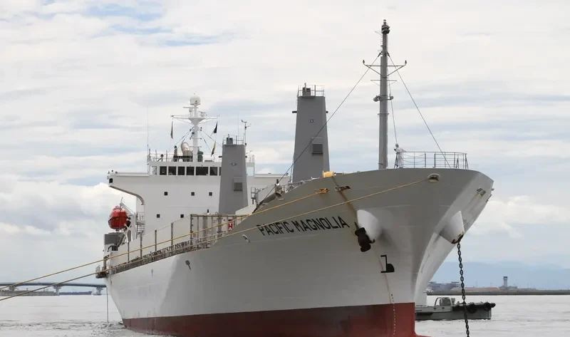 PACIFIC MAGNOLIA General Cargo IMO 9185334 photo 10