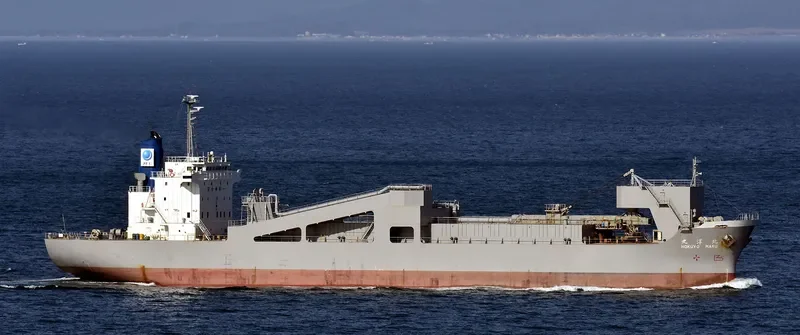 HOKUYO MARU Bulk Carrier IMO 9185475 photo 3