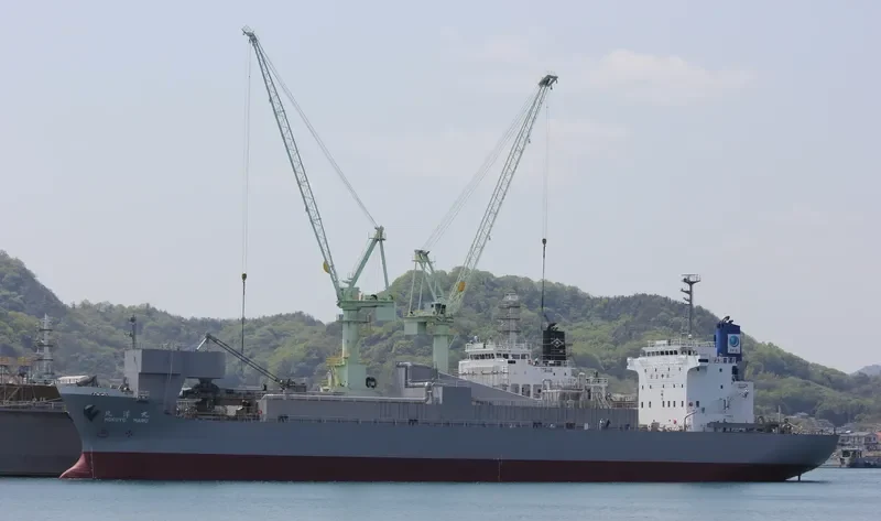 HOKUYO MARU Bulk Carrier IMO 9185475 photo 6