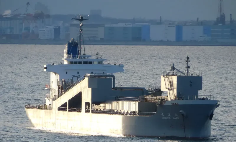 HOKUYO MARU Bulk Carrier IMO 9185475 photo 10