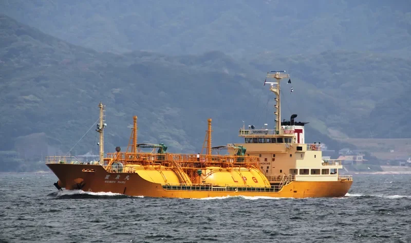 YOUNGSAN GAS General Cargo IMO 9185580 photo 4