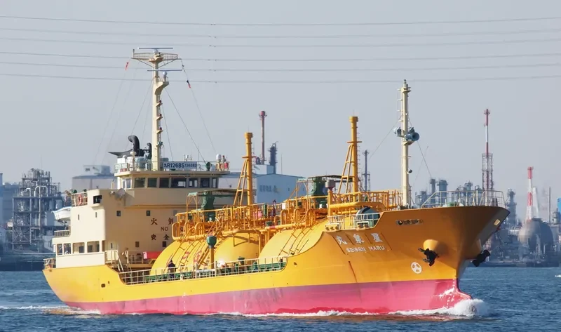 YOUNGSAN GAS General Cargo IMO 9185580 photo 9