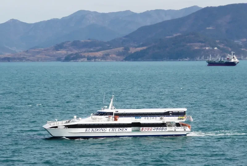 KUK DONG CRUISE Passenger Ship IMO 9185669 photo 2