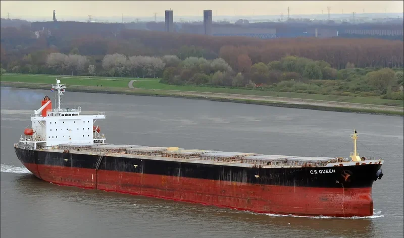 RIGEL Bulk Carrier IMO 9185748