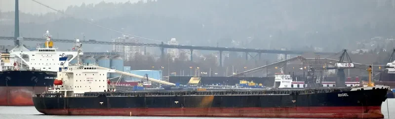 RIGEL Bulk Carrier IMO 9185748 photo 3
