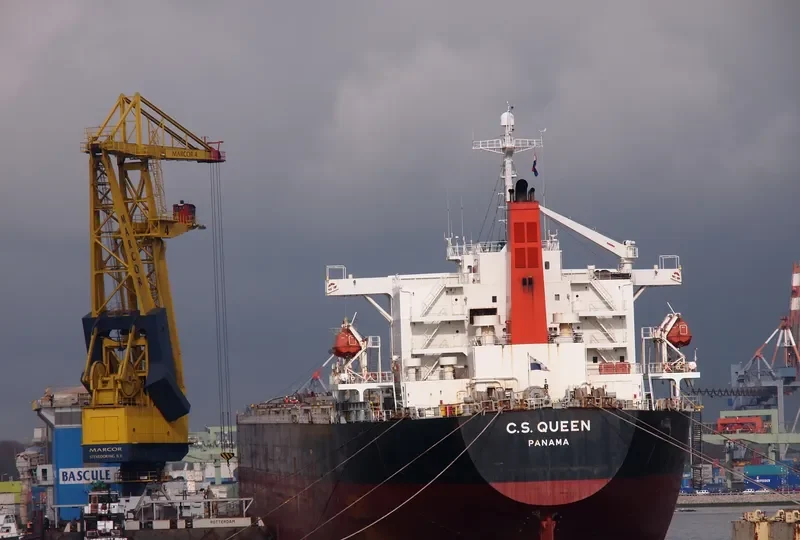 RIGEL Bulk Carrier IMO 9185748 photo 8