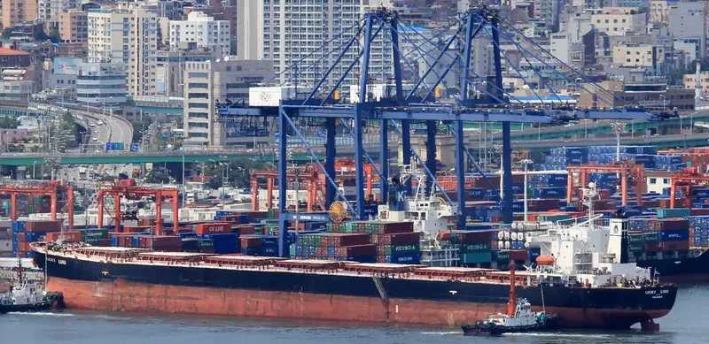 DONG JIANG HE Bulk Carrier IMO 9185750