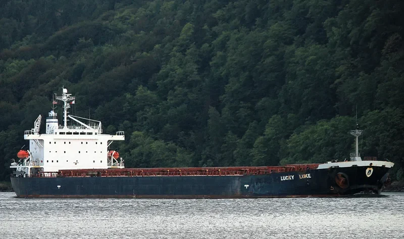 DONG JIANG HE Bulk Carrier IMO 9185750 photo 6