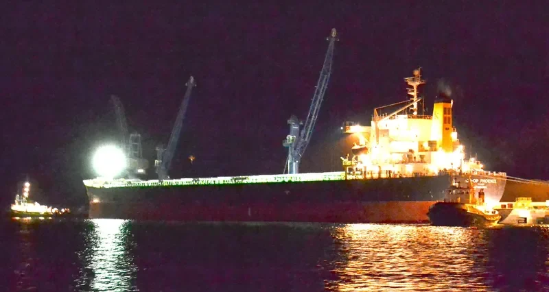 DONG JIANG HE Bulk Carrier IMO 9185750 photo 10