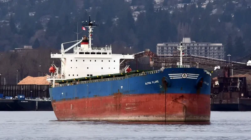 ALPHA FLAME Bulk Carrier IMO 9185774 photo 3