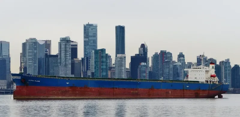ALPHA FLAME Bulk Carrier IMO 9185774 photo 5