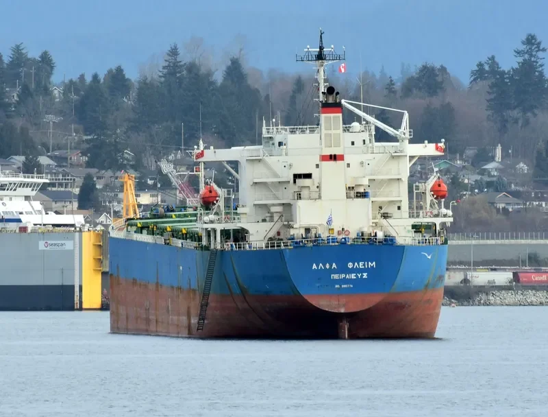ALPHA FLAME Bulk Carrier IMO 9185774 photo 7