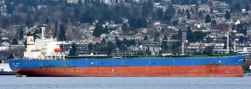 ALPHA FLAME Bulk Carrier IMO 9185774 photo 8