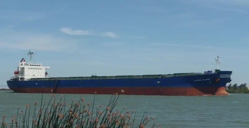 ALPHA FLAME Bulk Carrier IMO 9185774 photo 9