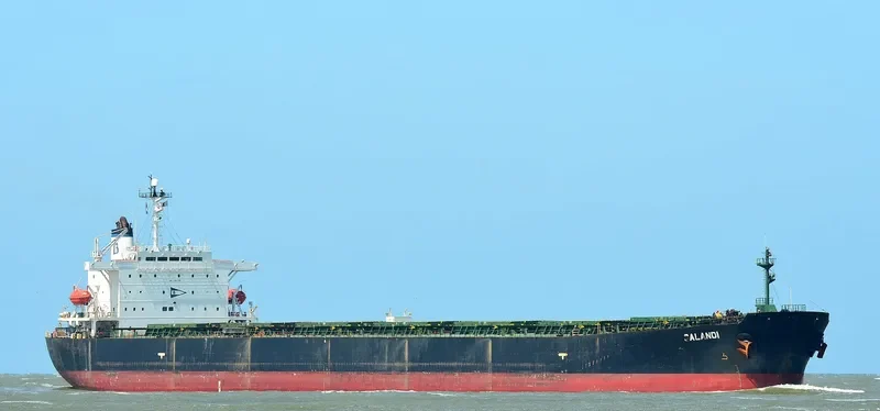 ZHONG ZHE 6 Bulk Carrier IMO 9185786 photo 2