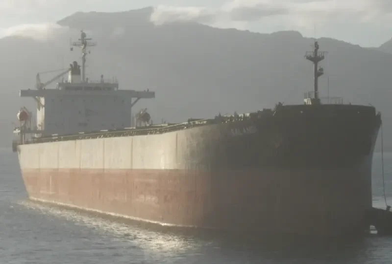 ZHONG ZHE 6 Bulk Carrier IMO 9185786 photo 10