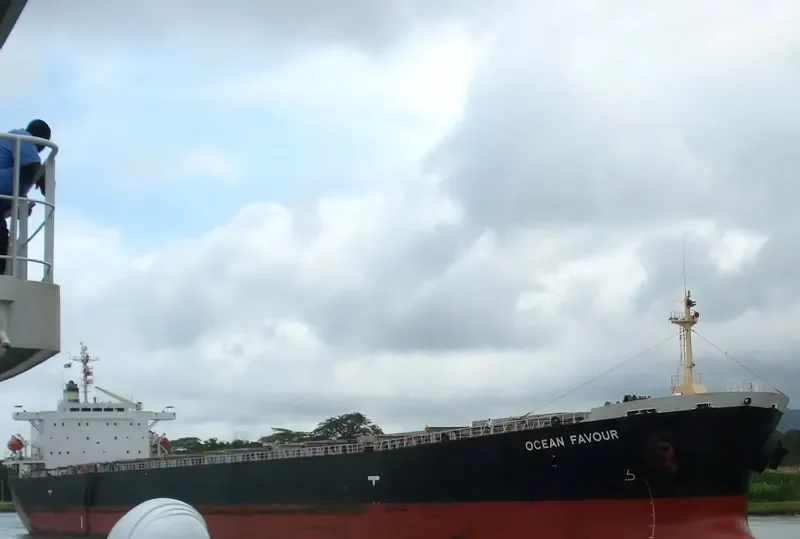 MARINE FORTUNE Bulk Carrier IMO 9185798