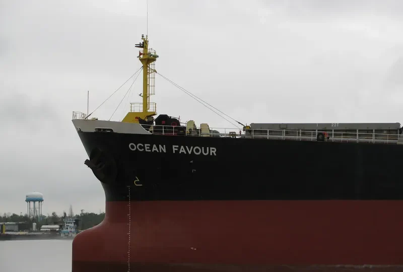 MARINE FORTUNE Bulk Carrier IMO 9185798 photo 4