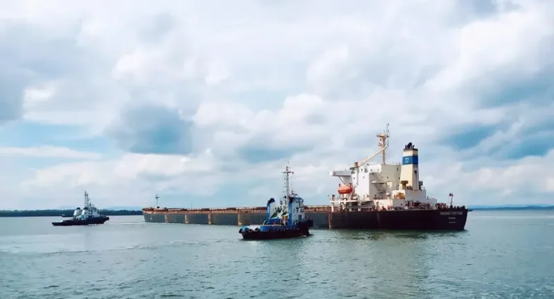 MARINE FORTUNE Bulk Carrier IMO 9185798 photo 8