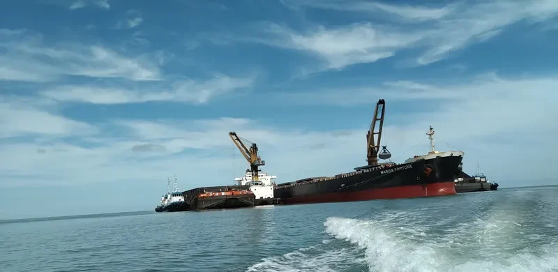 MARINE FORTUNE Bulk Carrier IMO 9185798 photo 10