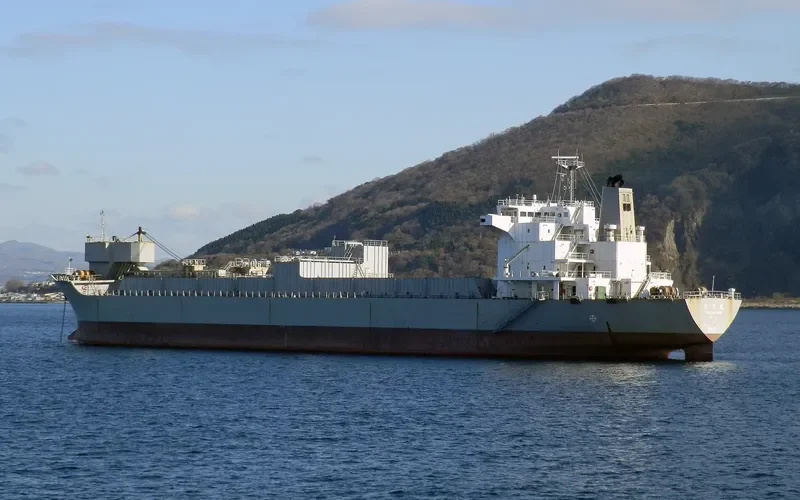 TAISETSU MARU Bulk Carrier IMO 9185803 photo 2