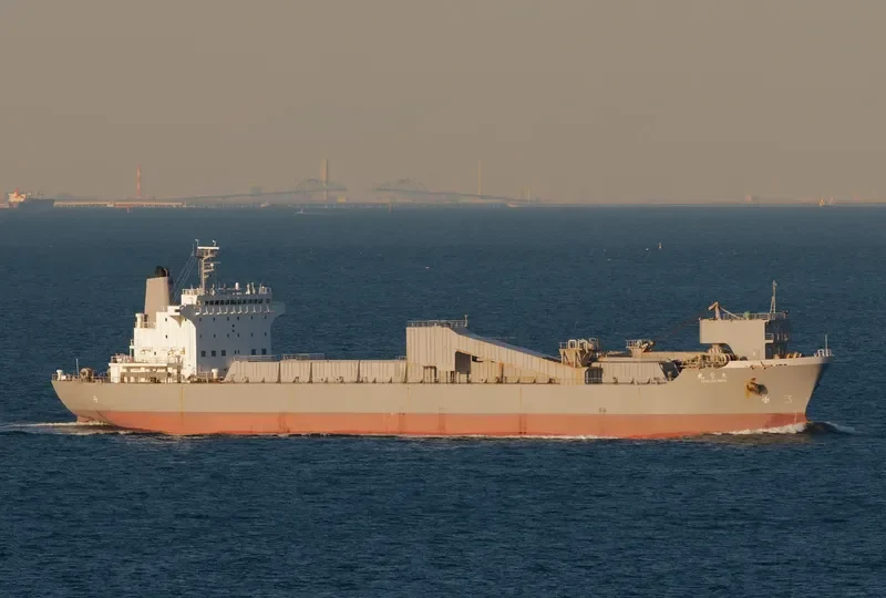 TAISETSU MARU Bulk Carrier IMO 9185803 photo 3
