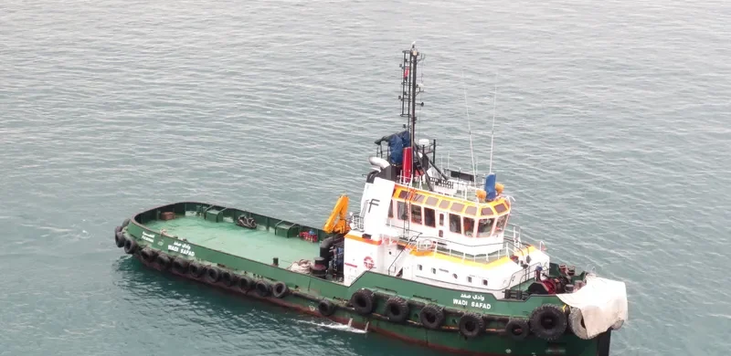 WADI SAFAD General Cargo IMO 9185982