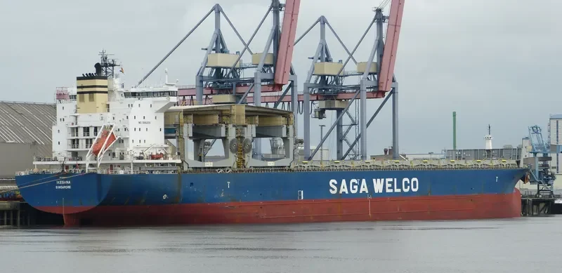 IKEBANA Container Ship IMO 9186209 photo 2
