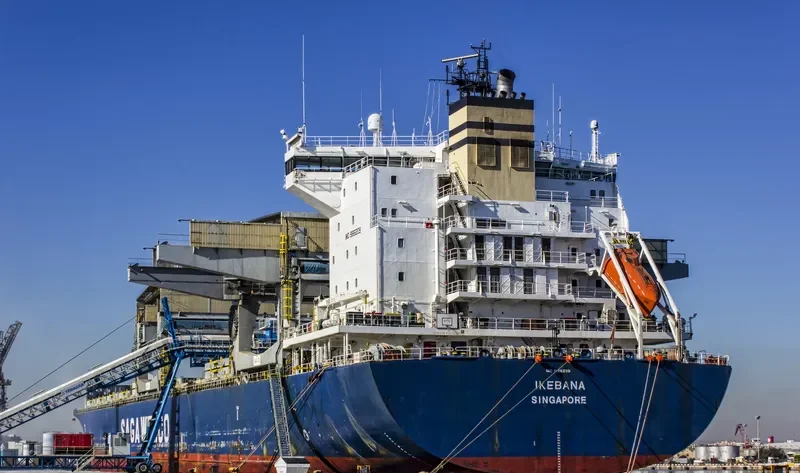 IKEBANA Container Ship IMO 9186209 photo 3