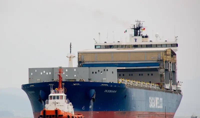 IKEBANA Container Ship IMO 9186209 photo 6