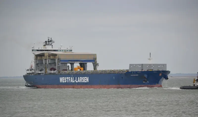 IKEBANA Container Ship IMO 9186209 photo 9