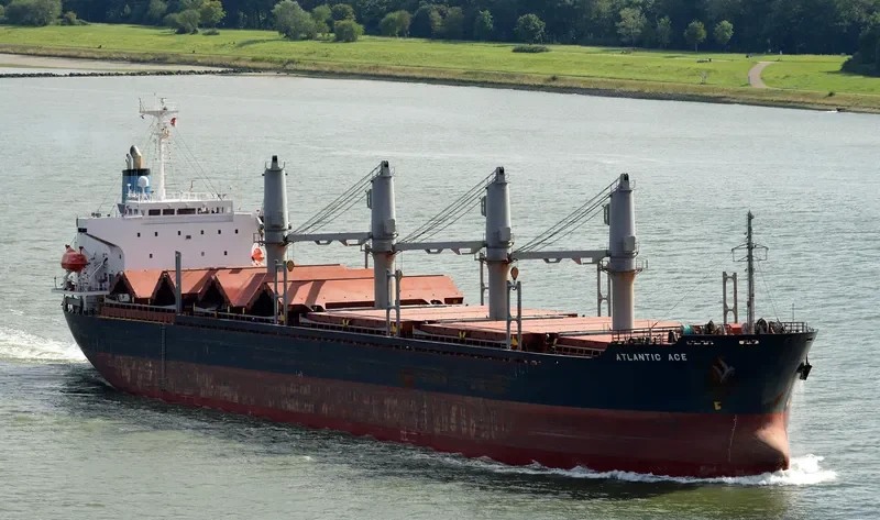 SEA LEO Bulk Carrier IMO 9186481 photo 6