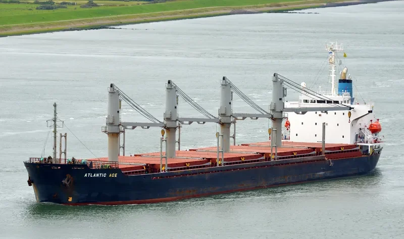 SEA LEO Bulk Carrier IMO 9186481 photo 8