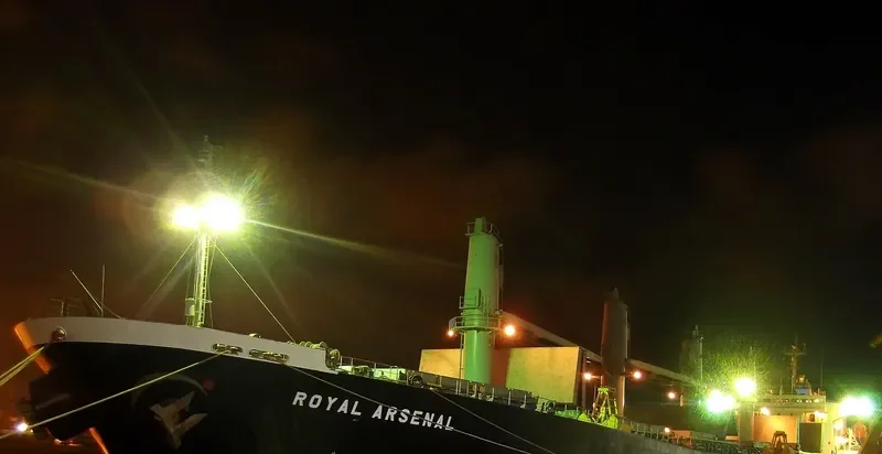 ROYAL ARSENAL Bulk Carrier IMO 9186766 photo 3