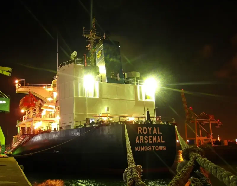 ROYAL ARSENAL Bulk Carrier IMO 9186766 photo 4