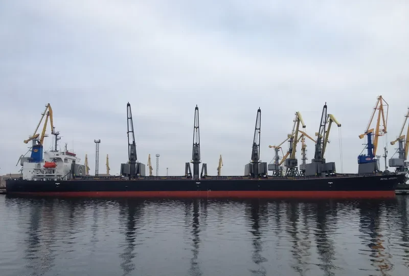 ROYAL ARSENAL Bulk Carrier IMO 9186766 photo 9
