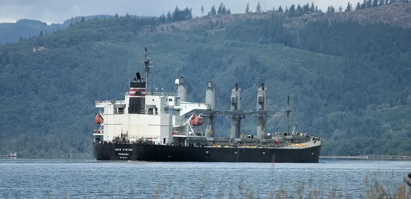 SRIKANDI INDONESIA 19 Bulk Carrier IMO 9186778