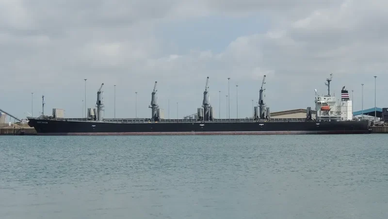 SRIKANDI INDONESIA 19 Bulk Carrier IMO 9186778 photo 10