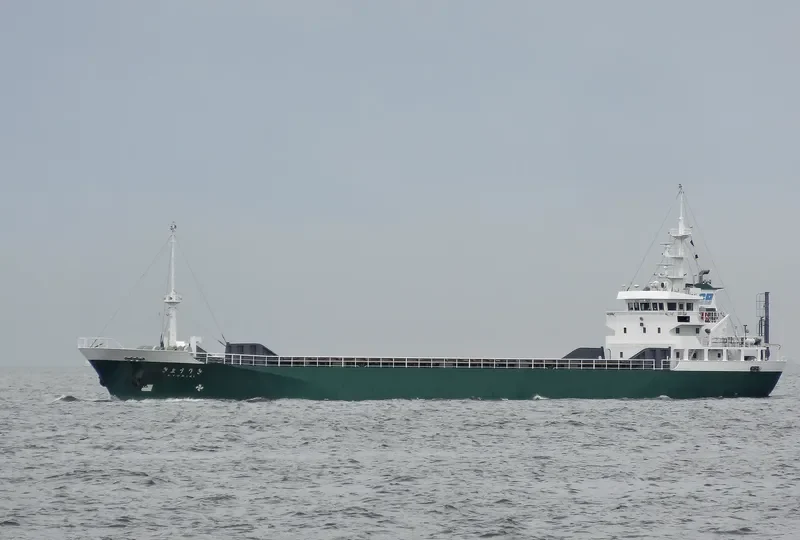 SHINPOUMARU NO.8 Bulk Carrier IMO 9186998