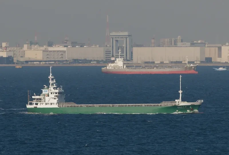 SHINPOUMARU NO.8 Bulk Carrier IMO 9186998 photo 2