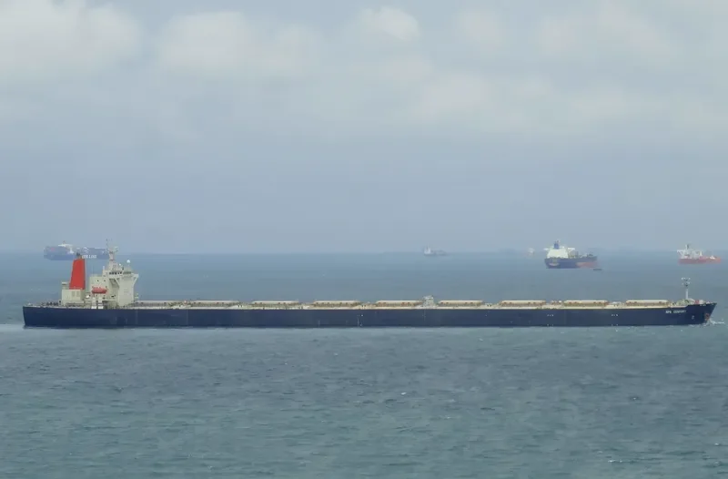 NPS CENTURY Bulk Carrier IMO 9187289